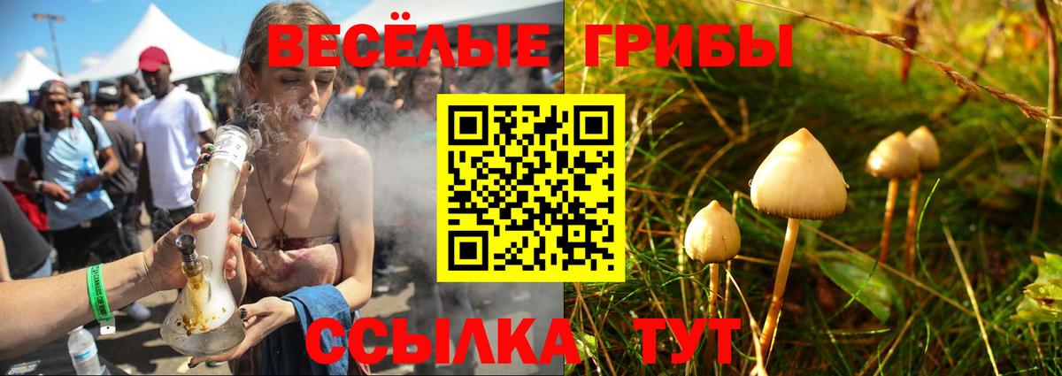 Псилоцибиновые грибы мицелий Великие Луки